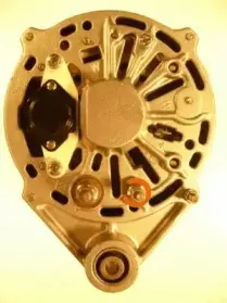 friesen-9037460